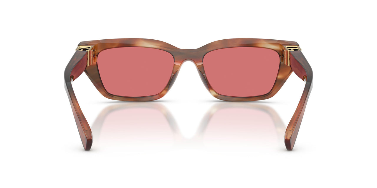 322175 - Tortoise - Red