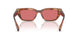 322175 - Tortoise - Red