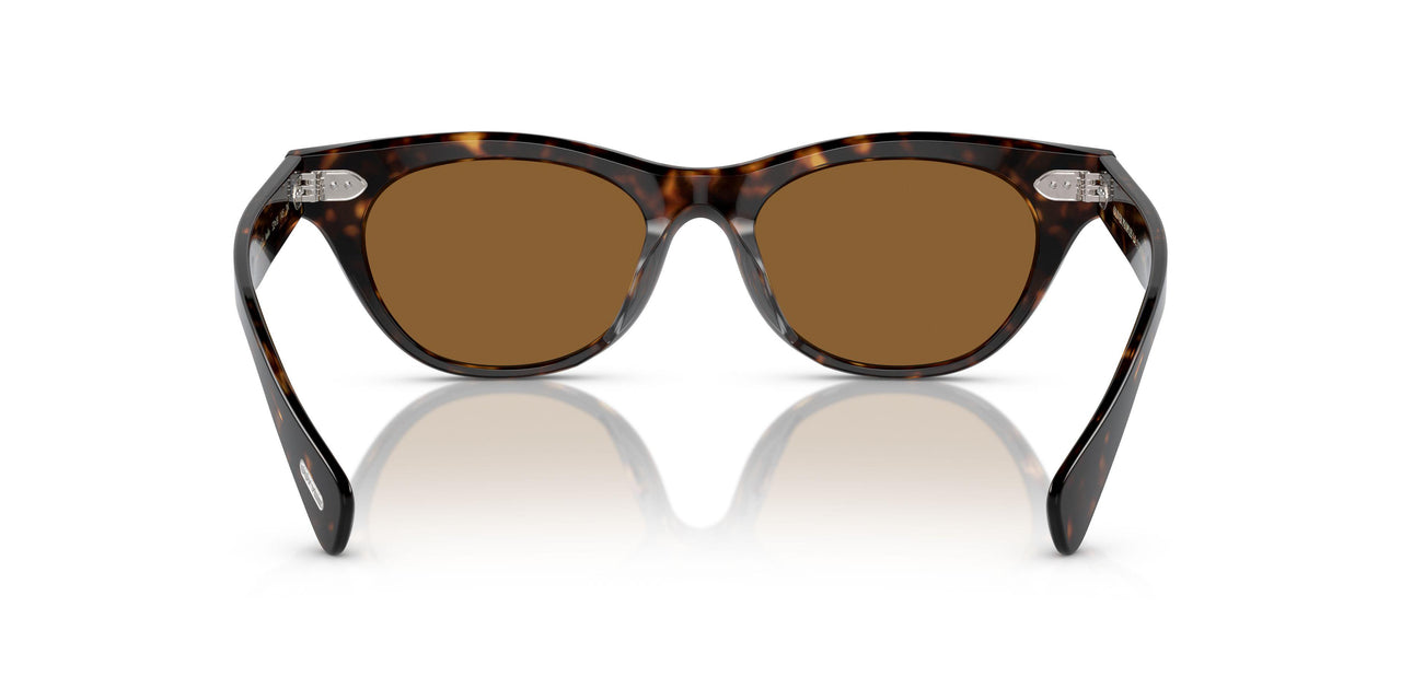 100953 - Tortoise - True Brown