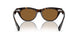100953 - Tortoise - True Brown