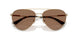 301773 - Gold - Dark Brown