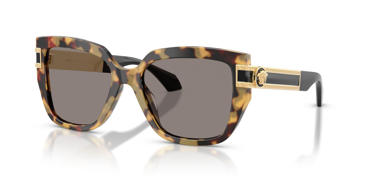 Versace 4517U Sunglasses