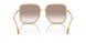 134913 - Brown - Brown Gradient