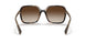 500313 - Havana - Gradient Brown