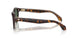 502671 - Tortoise - Dark Green