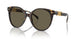 108/3 - Tortoise - Brown