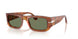 96/GJ - Brown - Transitions 8 Green