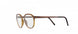 6230 - Havanna Honey