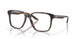 200902 - Tortoise