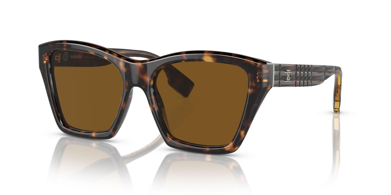 300283 - Brown - Brown Polarized