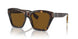 300283 - Brown - Brown Polarized