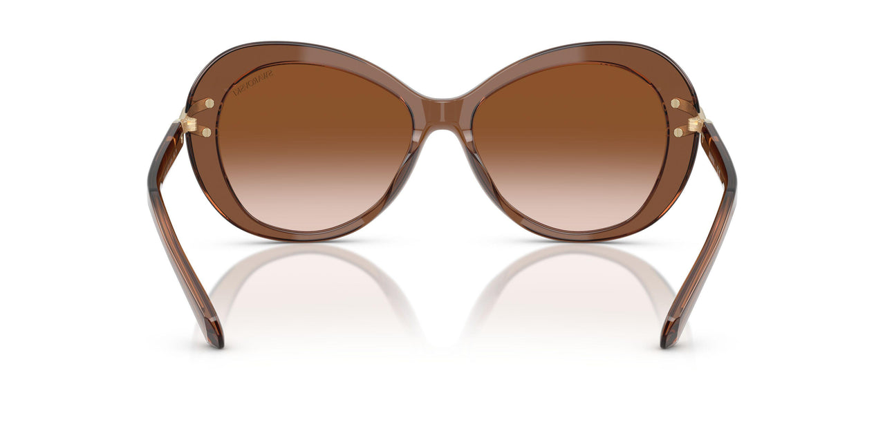 106713 - Brown - Gradient Brown