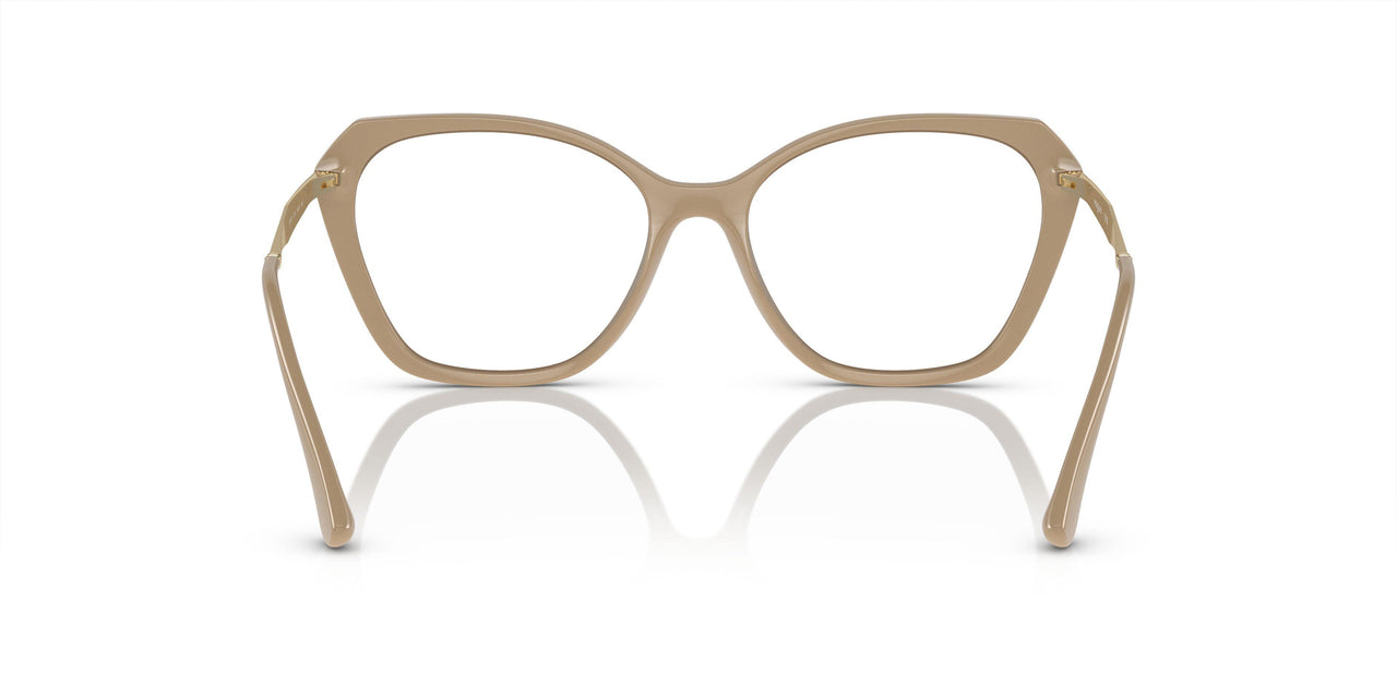 3101 - Brown