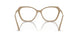 3101 - Brown