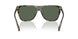 394771 - Tortoise - Green