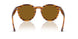 679183 - Brown - Dark Brown Polarized
