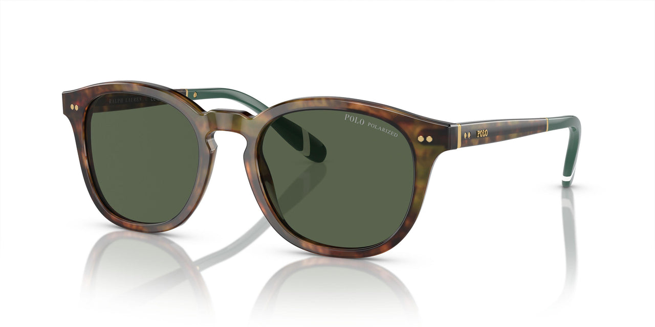 50179A - Tortoise - Bottle Green Polarized