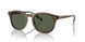 50179A - Tortoise - Bottle Green Polarized