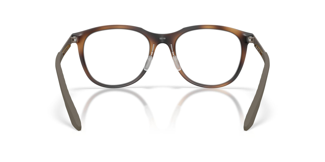 802805 - Tortoise