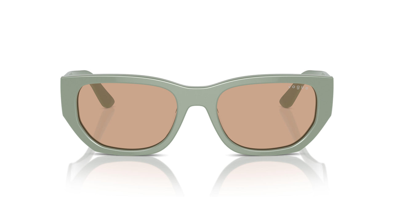 3161/3 - Green - Dark Brown