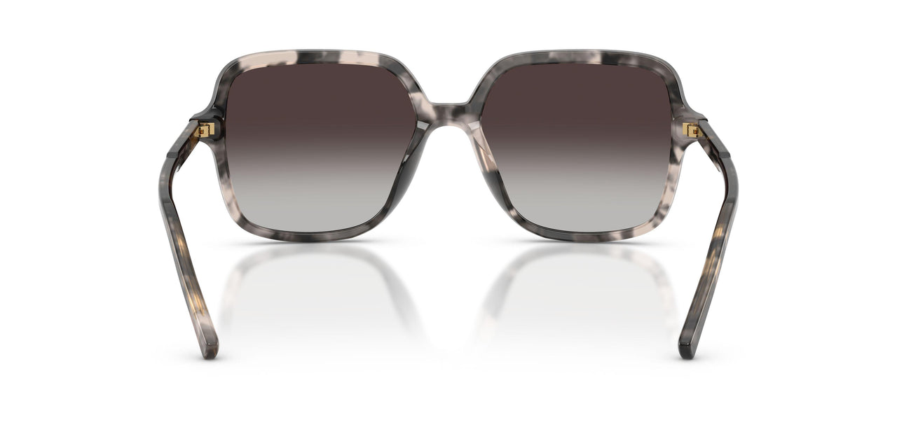 31728G - Tortoise - Grey Gradient