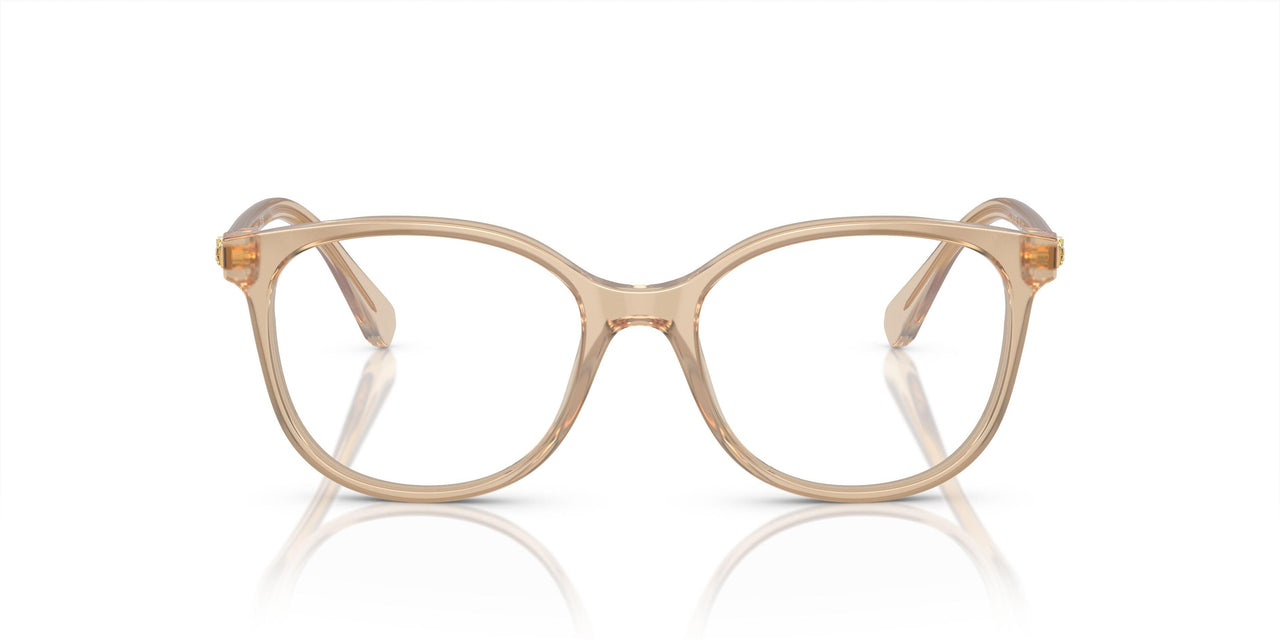 1034 - Brown
