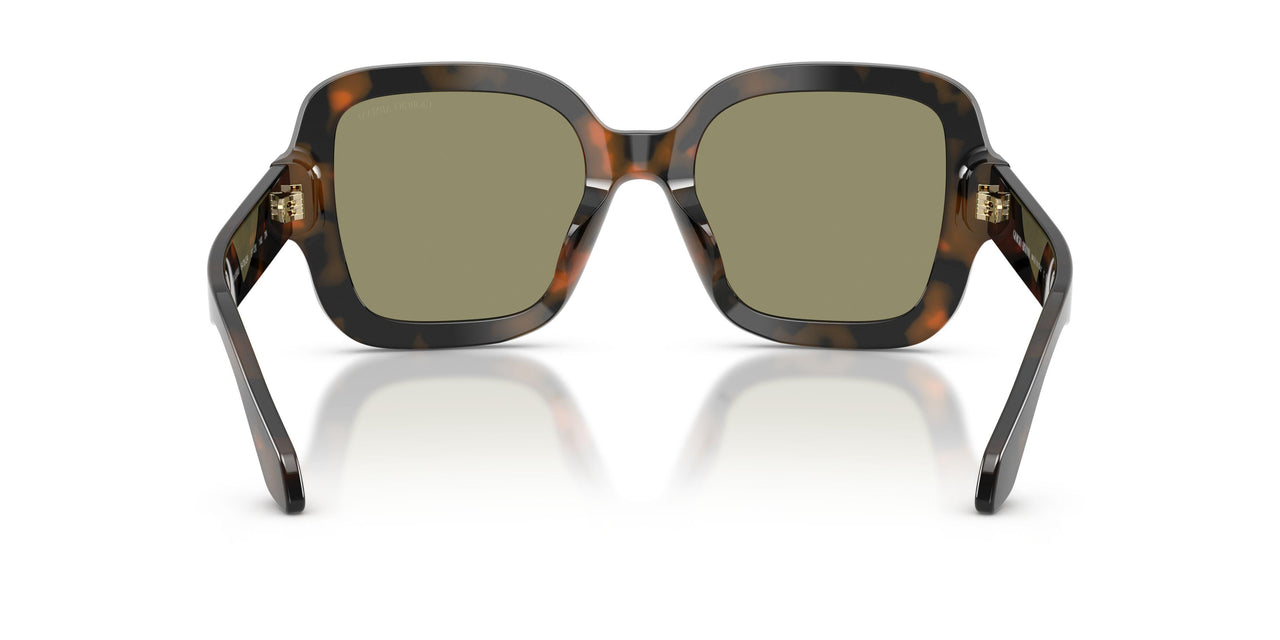 64782A - Tortoise - Green