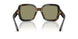 64782A - Tortoise - Green