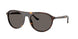Ray-Ban 2215F Sunglasses