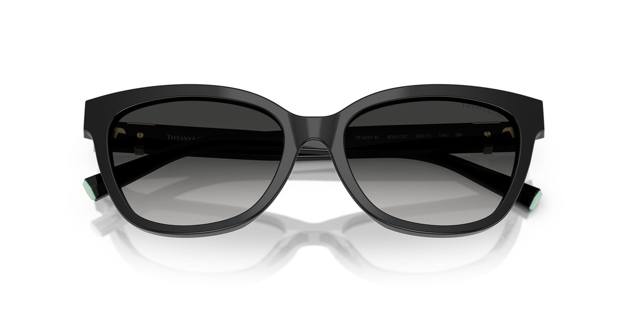 80013C - Black - Grey Gradient
