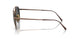 801648 - Brown - Polar Black + Ar