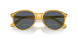 204/R5 - Yellow - Blue