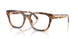 6089 - Tortoise