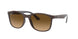 6600M2 - Brown - Brown Gradient Polar
