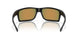 947006 - Black - Prizm Ruby Polarized