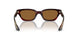 167553 - Red - True Brown