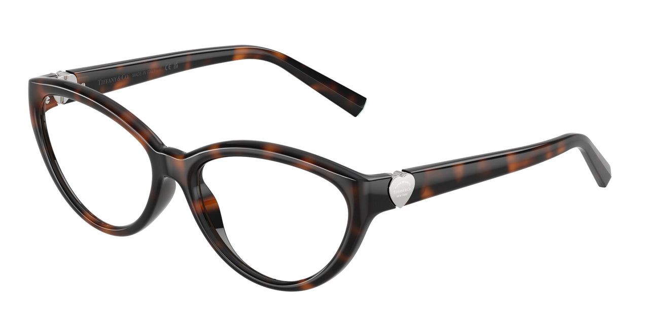 8015 - Tortoise