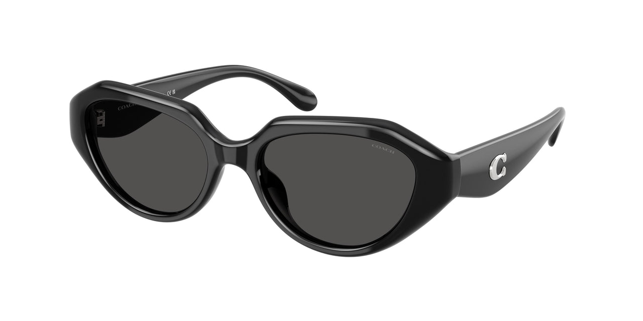 Coach Cby77 8433U Sunglasses