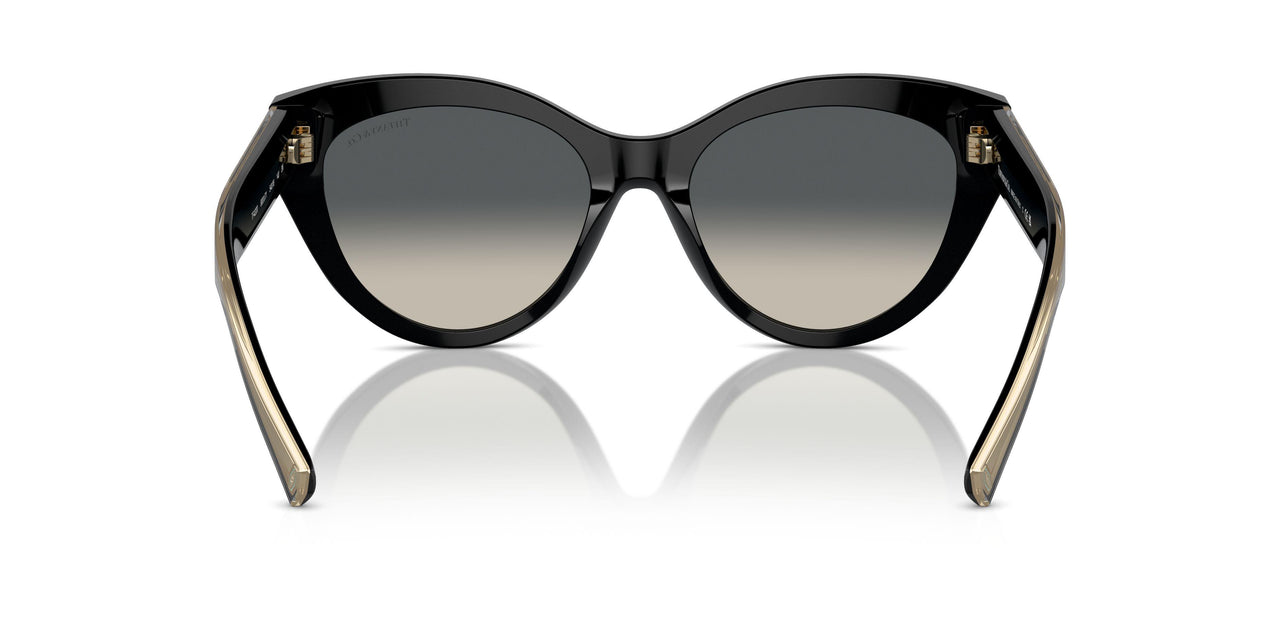 800171 - Black - Grey Gradient