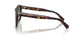 80153H - Tortoise - Dark Green