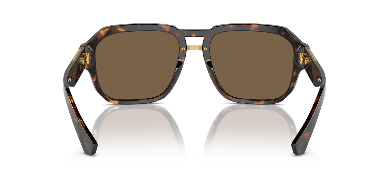 502/73 - Tortoise - Dark Brown