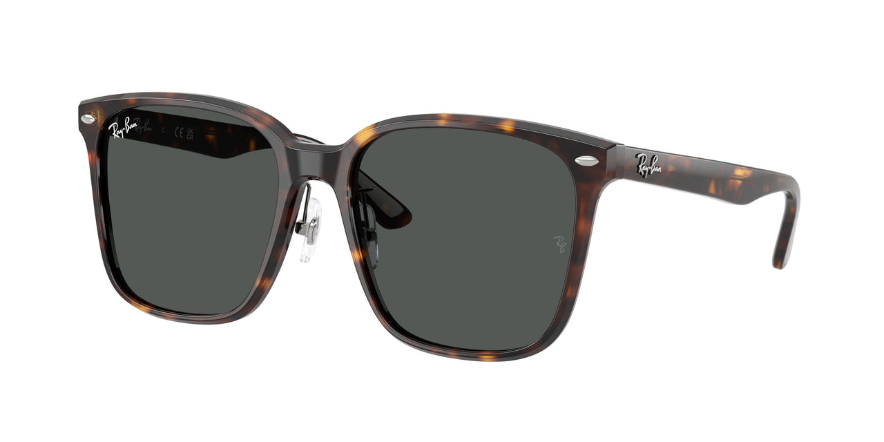 Ray-Ban 2206D Sunglasses