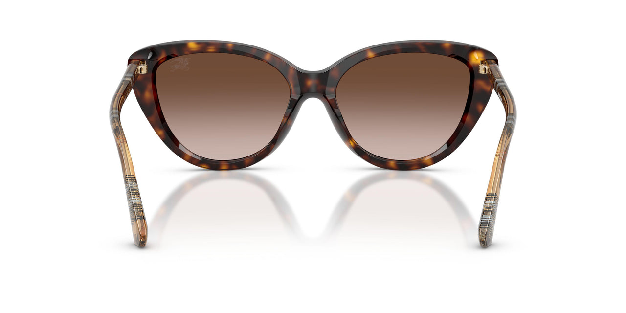 421613 - Brown - Brown Gradient