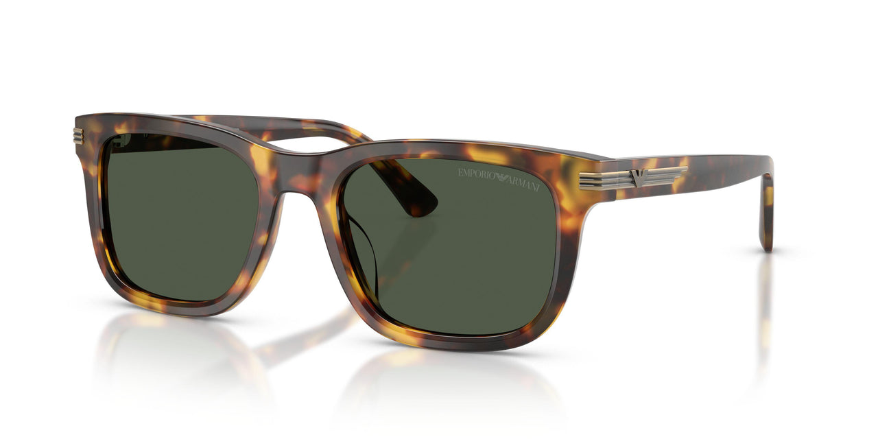 Emporio Armani 4282U Sunglasses