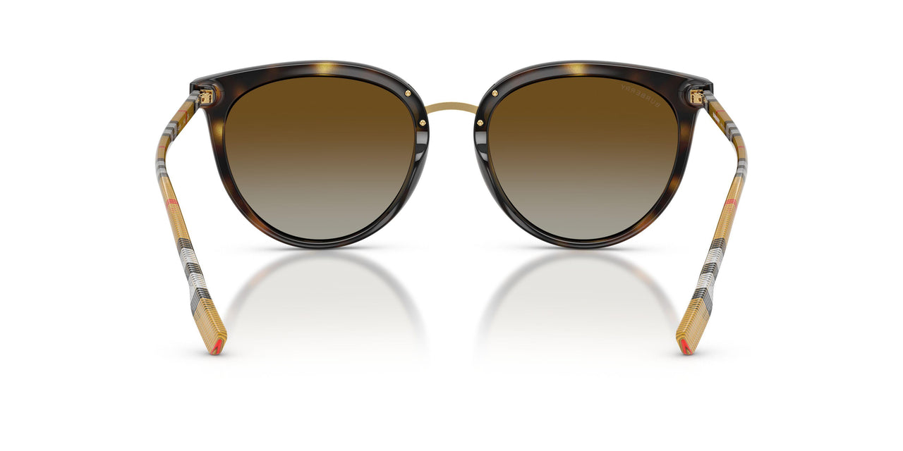 3854T5 - Havana - Polar Brown Gradient