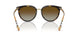 3854T5 - Havana - Polar Brown Gradient