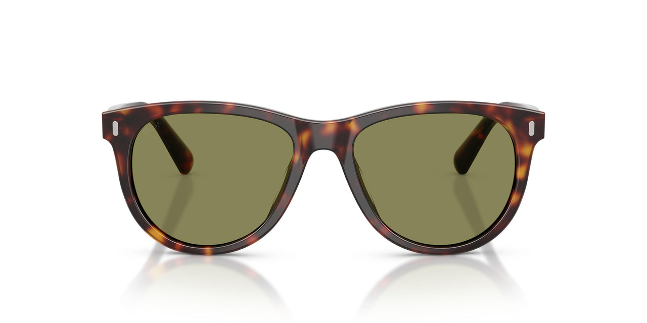 24/4E - Tortoise - Light Green