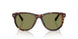 24/4E - Tortoise - Light Green