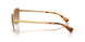 946513 - Gold - Gradient Brown