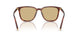 26E10R - Brown - Yellow